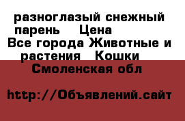 разноглазый снежный парень. › Цена ­ 10 000 - Все города Животные и растения » Кошки   . Смоленская обл.